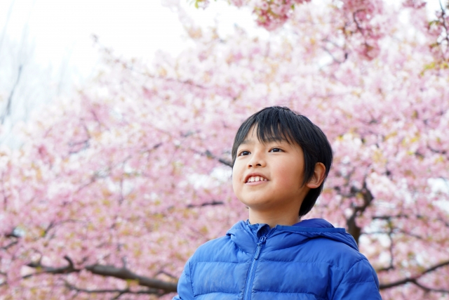 桜に囲まれて誇らしげな小学生の男の子