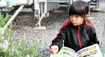 中学受験をする小学生におすすめの図鑑（理科、社会、国語、算数）：高学年向け・低学年向け