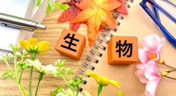 【中1理科の一問一答問題】植物の分類：種子植物、シダ植物とコケ植物の違いなどテスト対策