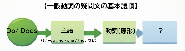 中学英語の一般動詞の疑問文の基本語順を示した図解。DoやDoesから始まり、主語、動詞の原形が続く構造を表している