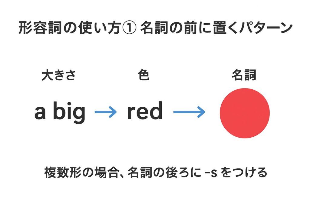 中1英語｜名詞の前に置く形容詞の語順と複数形のルールを図解