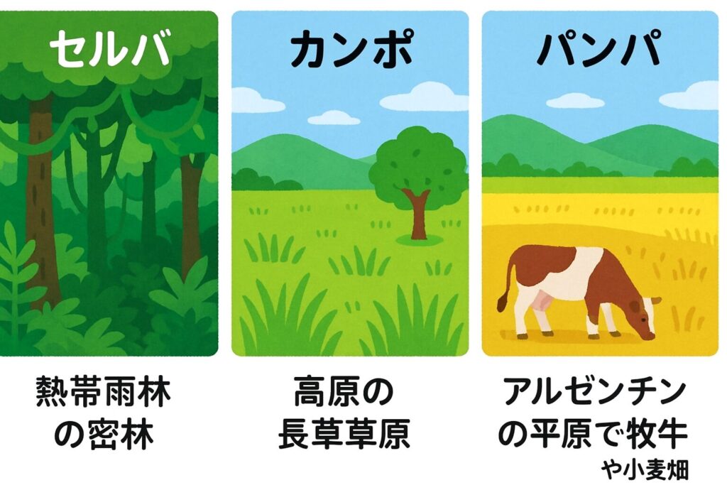 セルバ・パンパ・カンポの違い