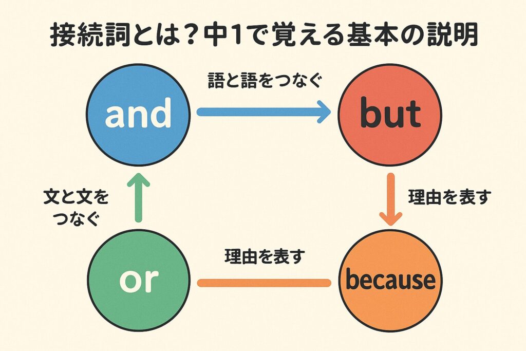 中1英語 接続詞まとめ｜and, but, or, because の意味と役割を図解