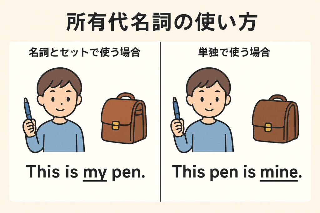 中1英語の所有代名詞の使い分け図(名詞の前・単独での使い方)