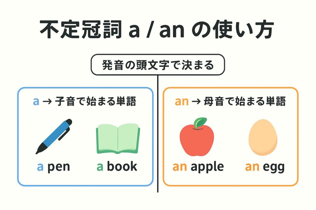 中学英語の不定冠詞 a と an の使い分けを母音・子音でわかりやすく視覚化した図。a pen, a book, an apple, an egg の例つき。