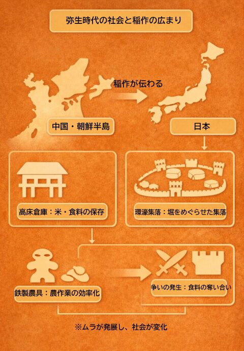 弥生時代の生活と社会の変化｜稲作・高床倉庫・環濠集落【中1歴史】