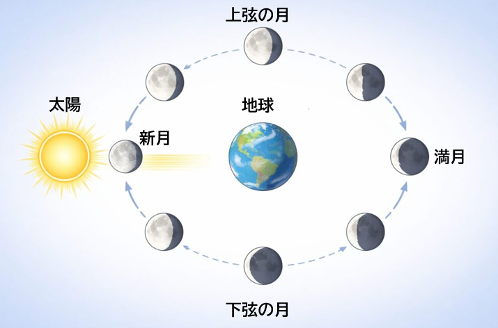 太陽・地球・月の位置関係と月の満ち欠けを示した図