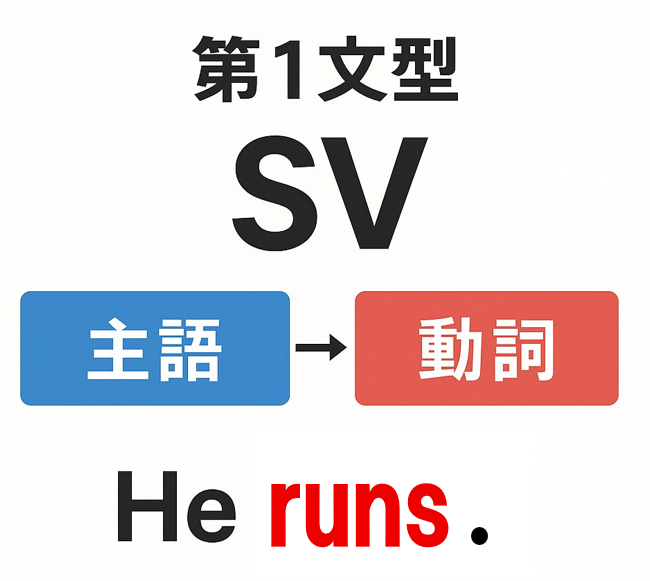 第1文型SVの図解｜主語・動詞の語順と中学英語の例文