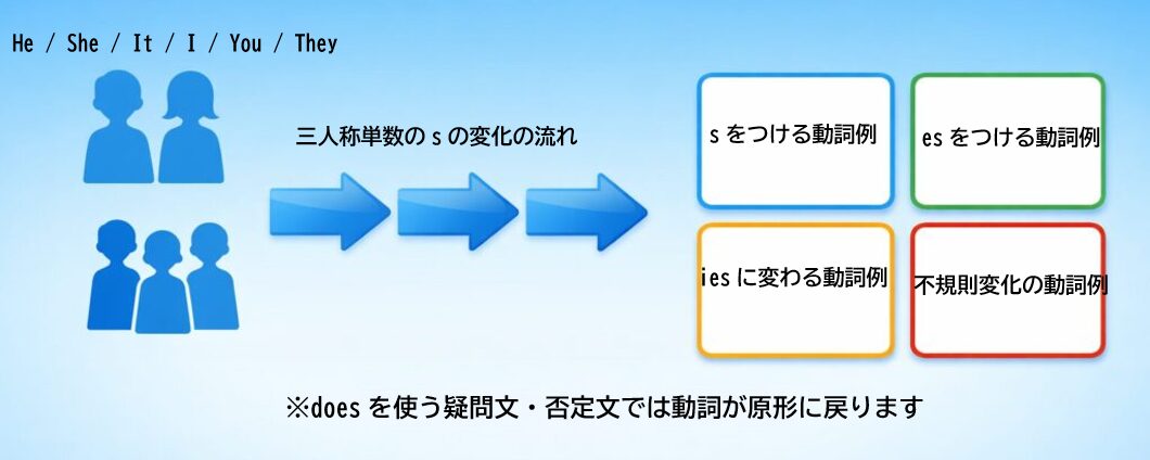 三人称単数のsの変化を視覚化した図。He/She/Itの主語に合わせて動詞がs/es/iesに変化する流れを示す