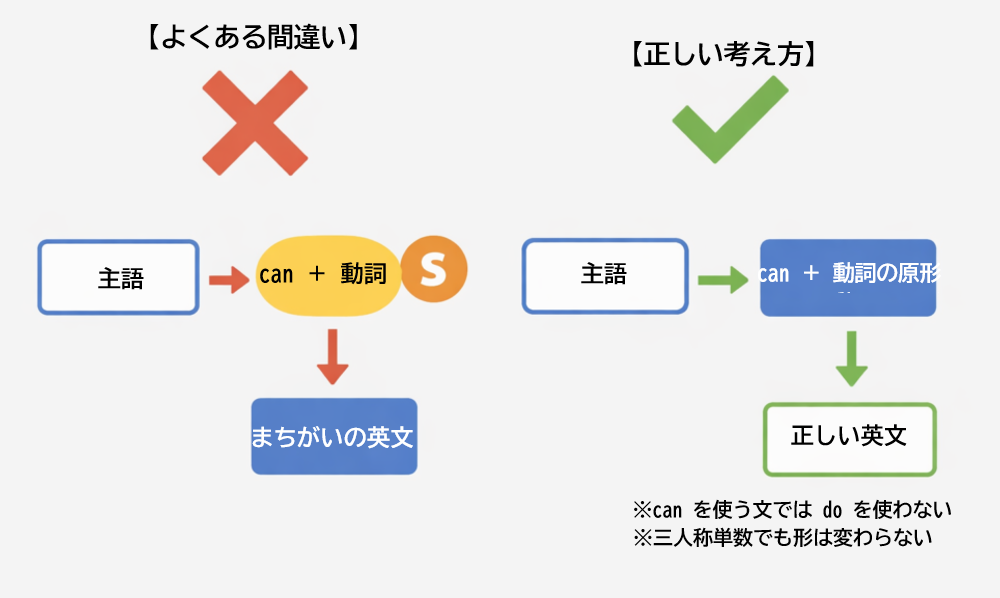 canの文でdoや三人称単数のsを使ってしまうよくある間違いの整理図