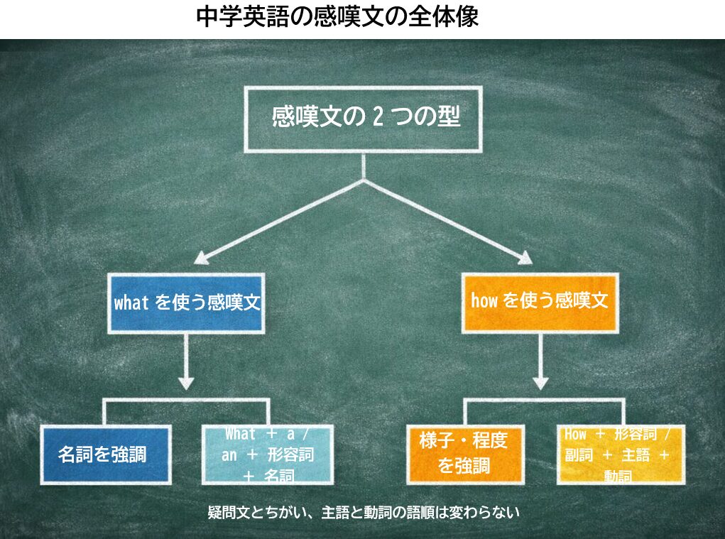 中学英語の感嘆文の全体構造を示した図。whatとhowの2種類に分かれるイメージを視覚化したもの