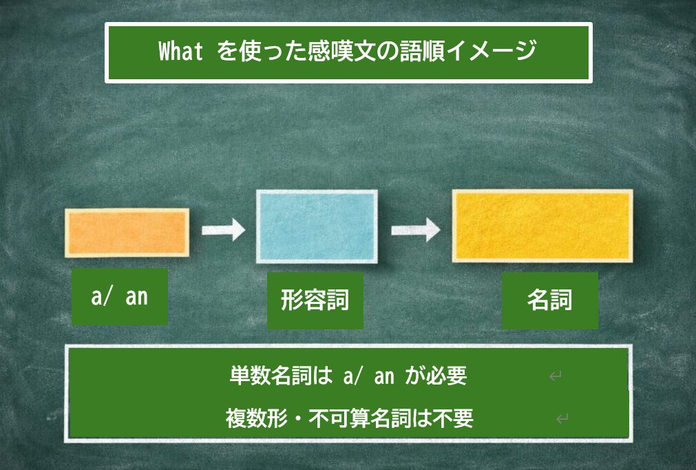 whatを使った感嘆文の語順イメージ。冠詞・形容詞・名詞の並びを視覚的に示した図