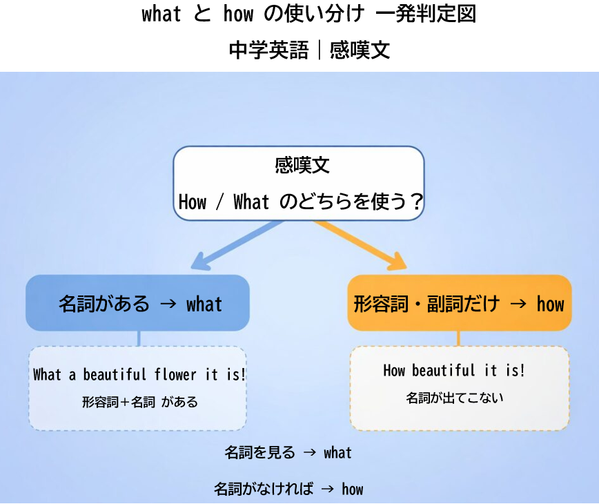 中学英語の感嘆文でwhatとhowを見分ける図解。名詞があるとwhat、形容詞や副詞だけならhowを使うルールを整理