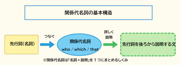 関係代名詞の基本構造（先行詞を後ろから説明する仕組み）