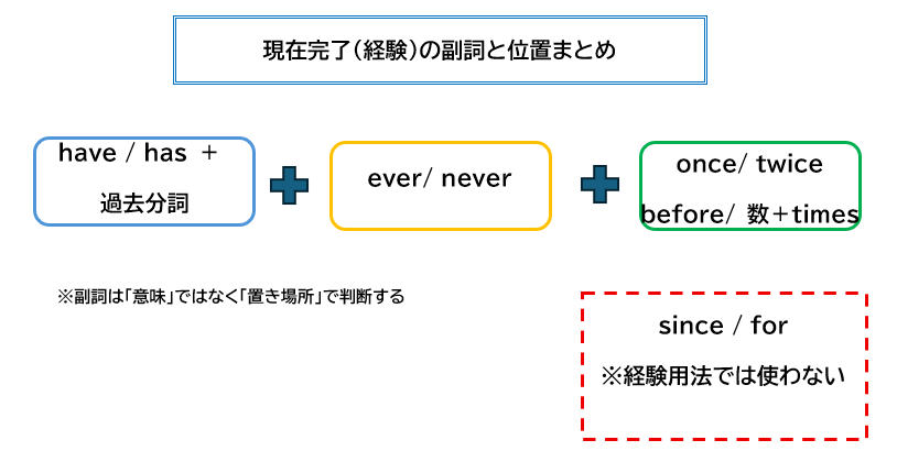 現在完了形（経験用法）で使うever・never・once・twiceなどの副詞と正しい位置関係を示した図