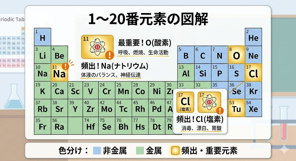 高校化学基礎で重要な1〜20番の周期表一覧と頻出元素のまとめ図解